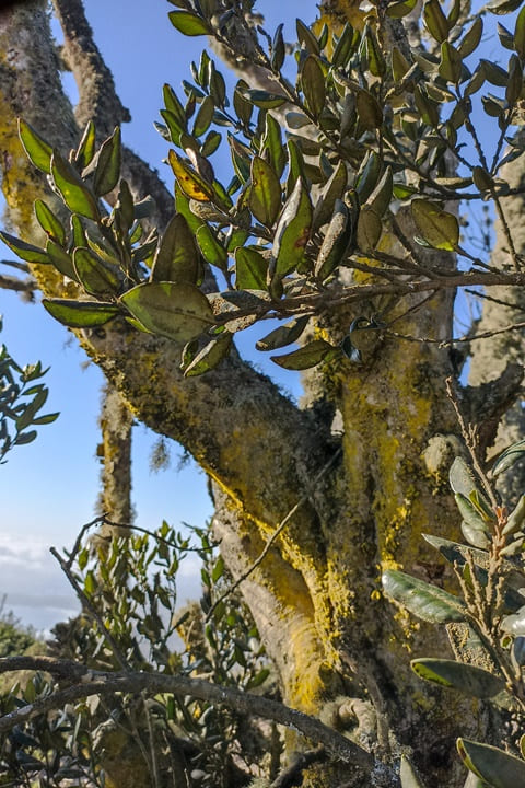 En este momento estás viendo Titulo